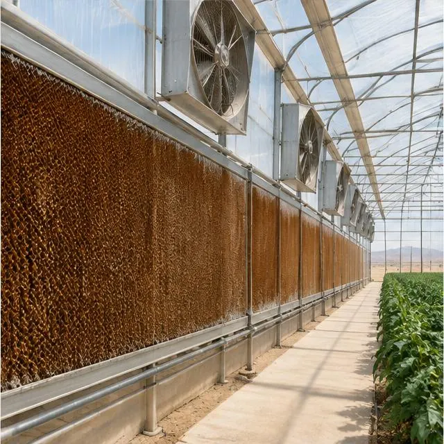 Greenhouse cooling pads and ventilation fans beside planted crop rows