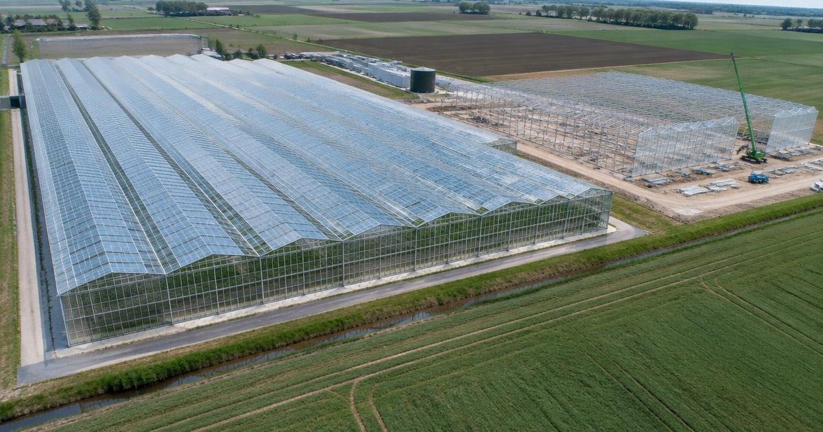 Rows of commercial greenhouse structures of different technology levels, illustrating the price range from basic tunnels to high-tech glasshouses.