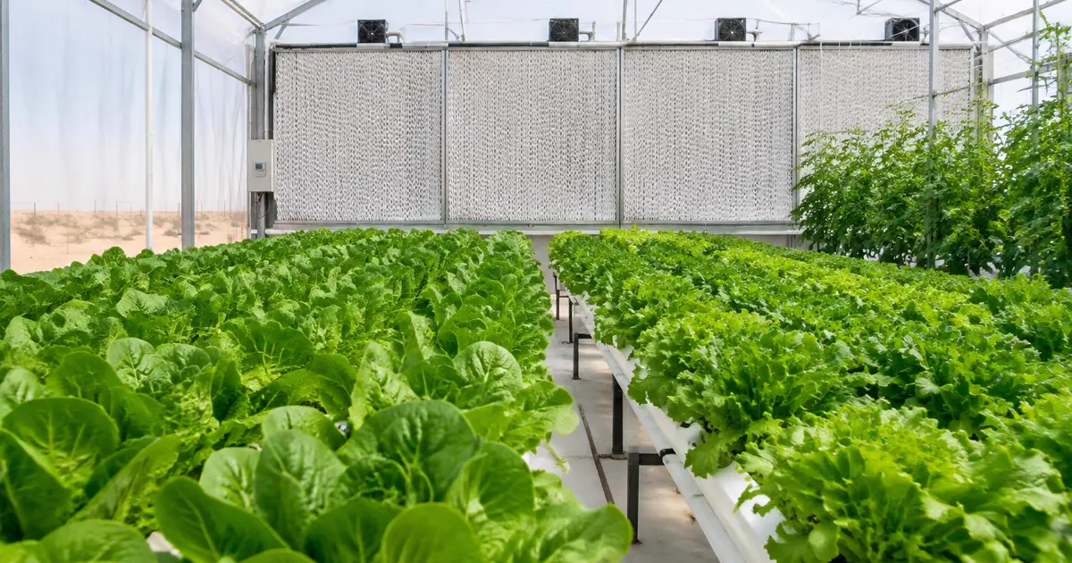 Commercial greenhouse climate-control and ventilation system