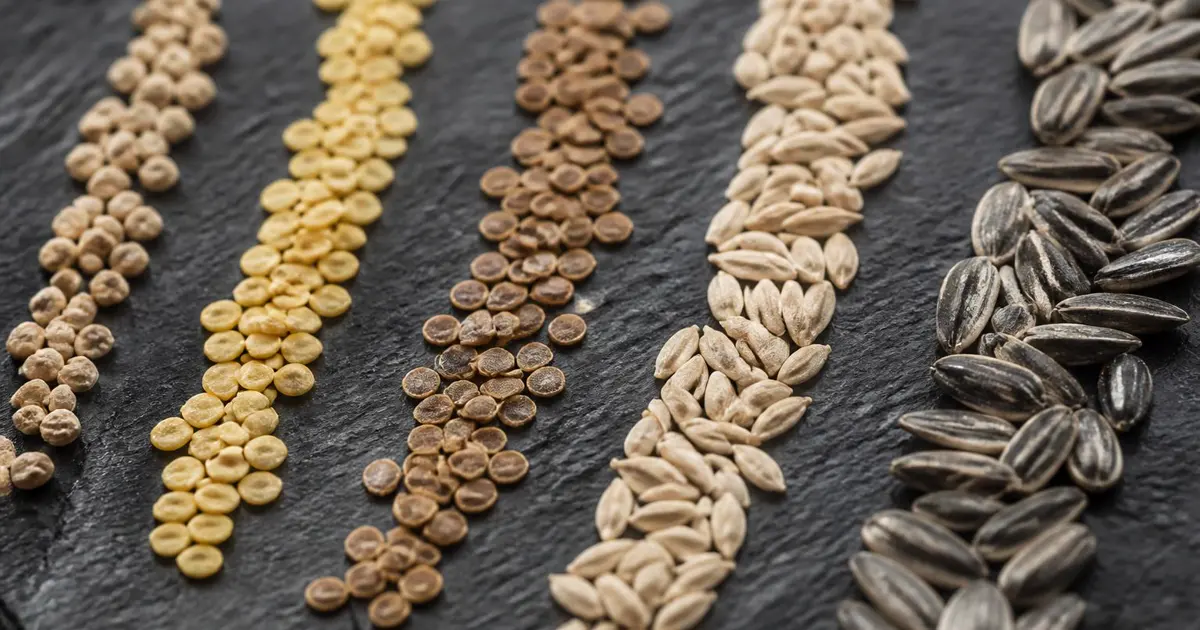 Commercial crop seed varieties prepared for production planning